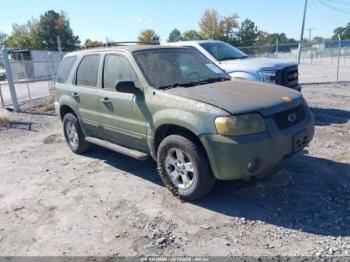  Salvage Ford Escape