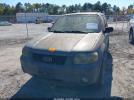 Ford Escape Xlt Image 5