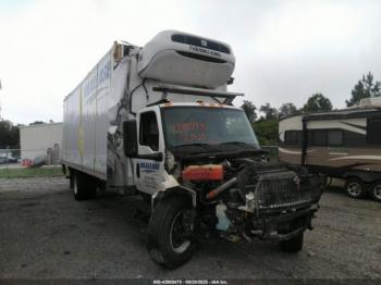  Salvage International Mv