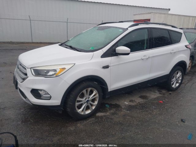 Ford Escape Se Image 16