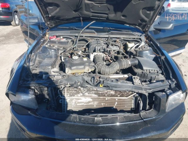 Ford Mustang V6 Image 15