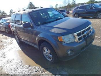  Salvage Ford Escape