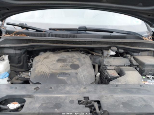 Kia Sedona Ex Image 3