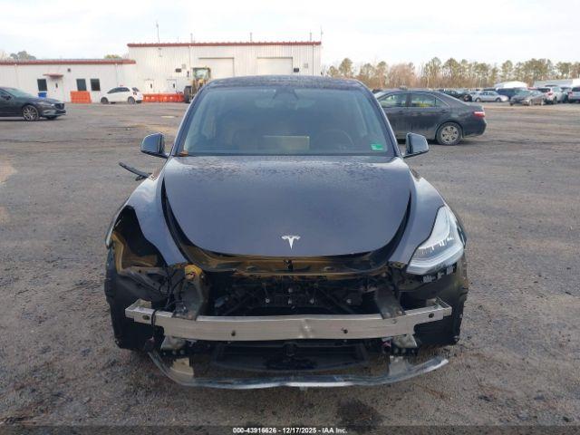 Tesla Model Y Image 6