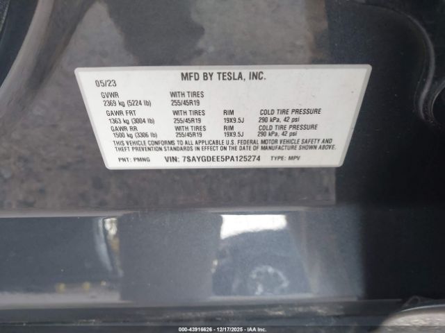 Tesla Model Y Image 7