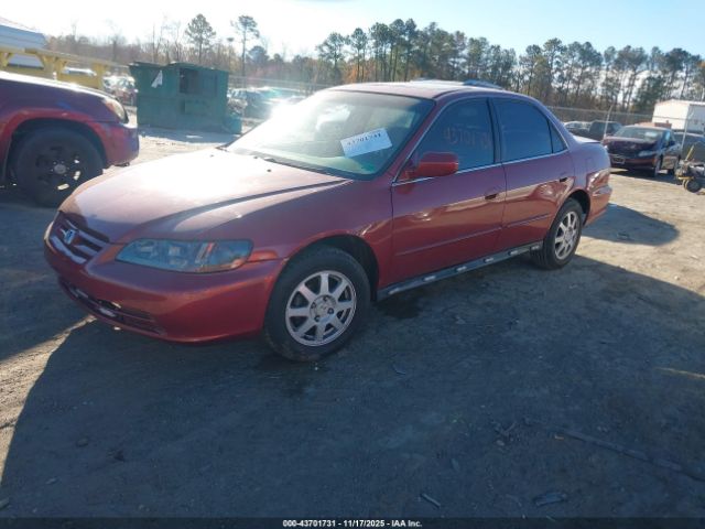 Honda Accord Image 3