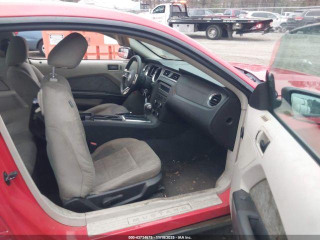 Ford Mustang V6 Image 11