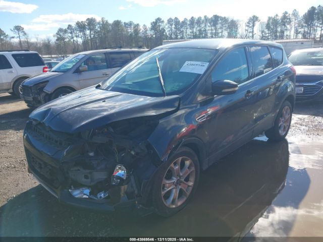 Ford Escape Sel Image 6