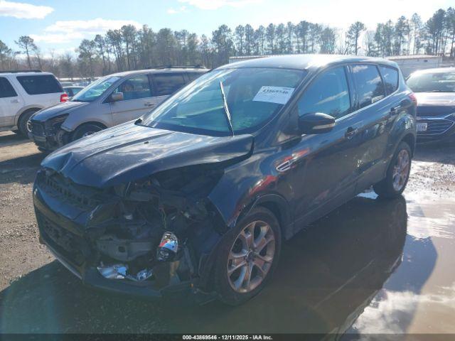 Ford Escape Sel Image 6