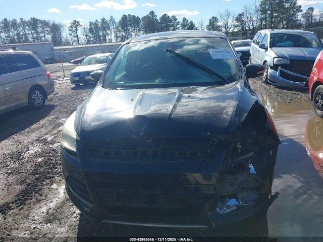 Ford Escape Sel Image 12