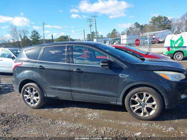 Ford Escape Sel Image 8