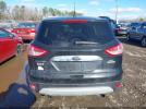 Ford Escape Sel Image 14