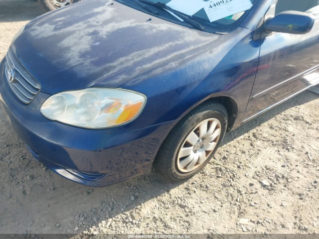 Toyota Corolla Le Image 4