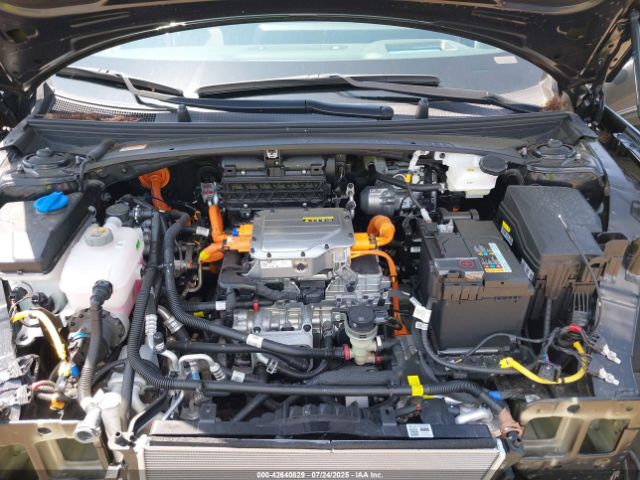 Hyundai Ioniq Limited Image 17